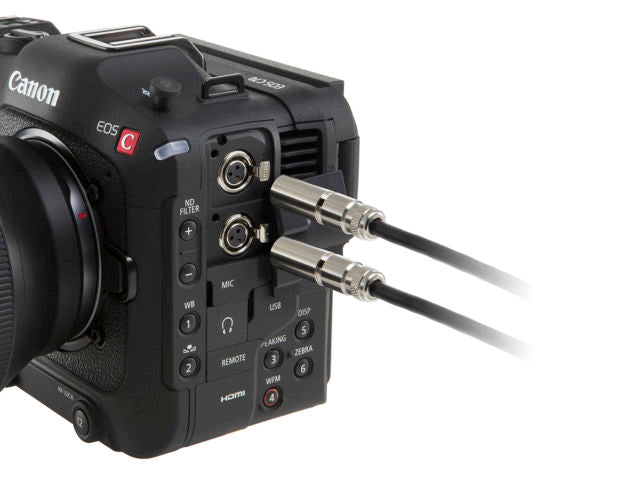 Capteur – Canon EOS C70